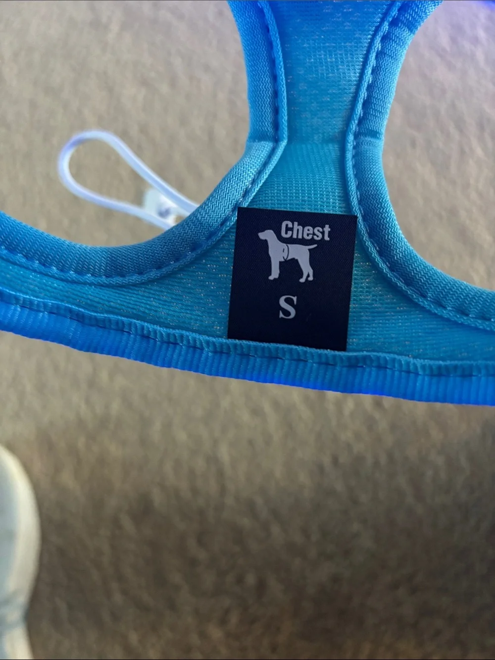 Small LED Light-Up Teal Dog Harness